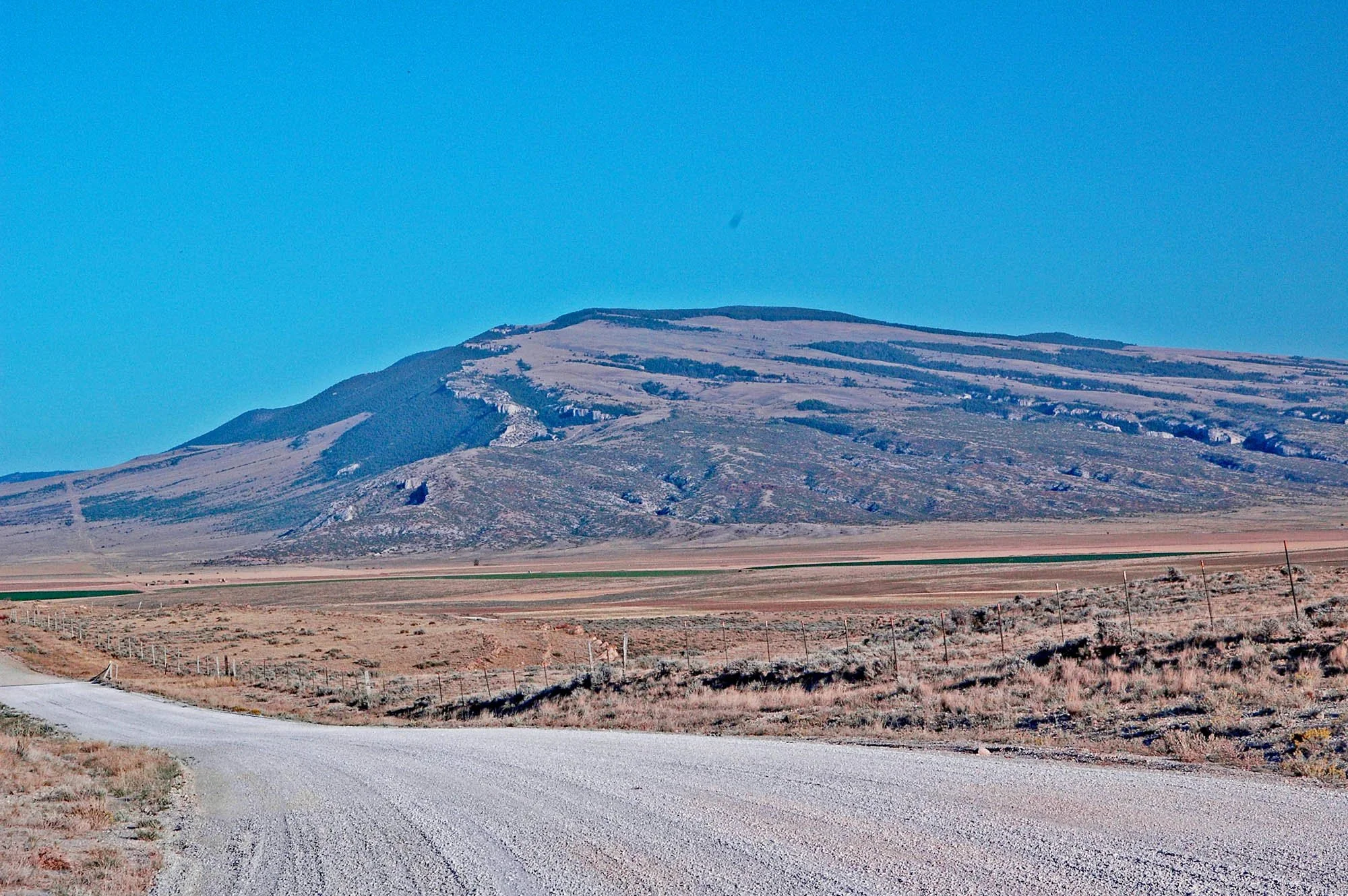 Driving Tour: Pryor Mountain Road and Crooked Creek Road — The